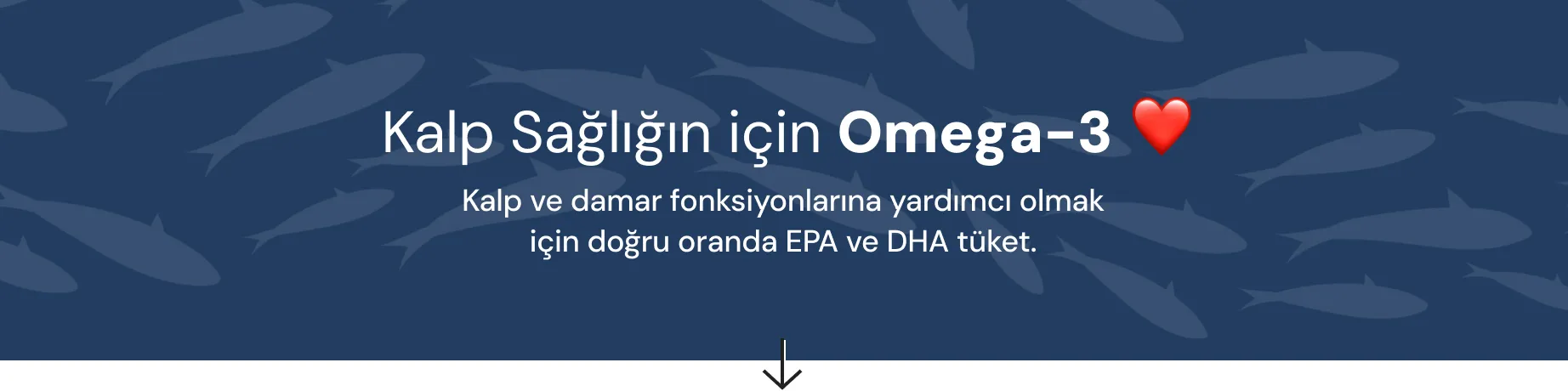Yağ Asitleri