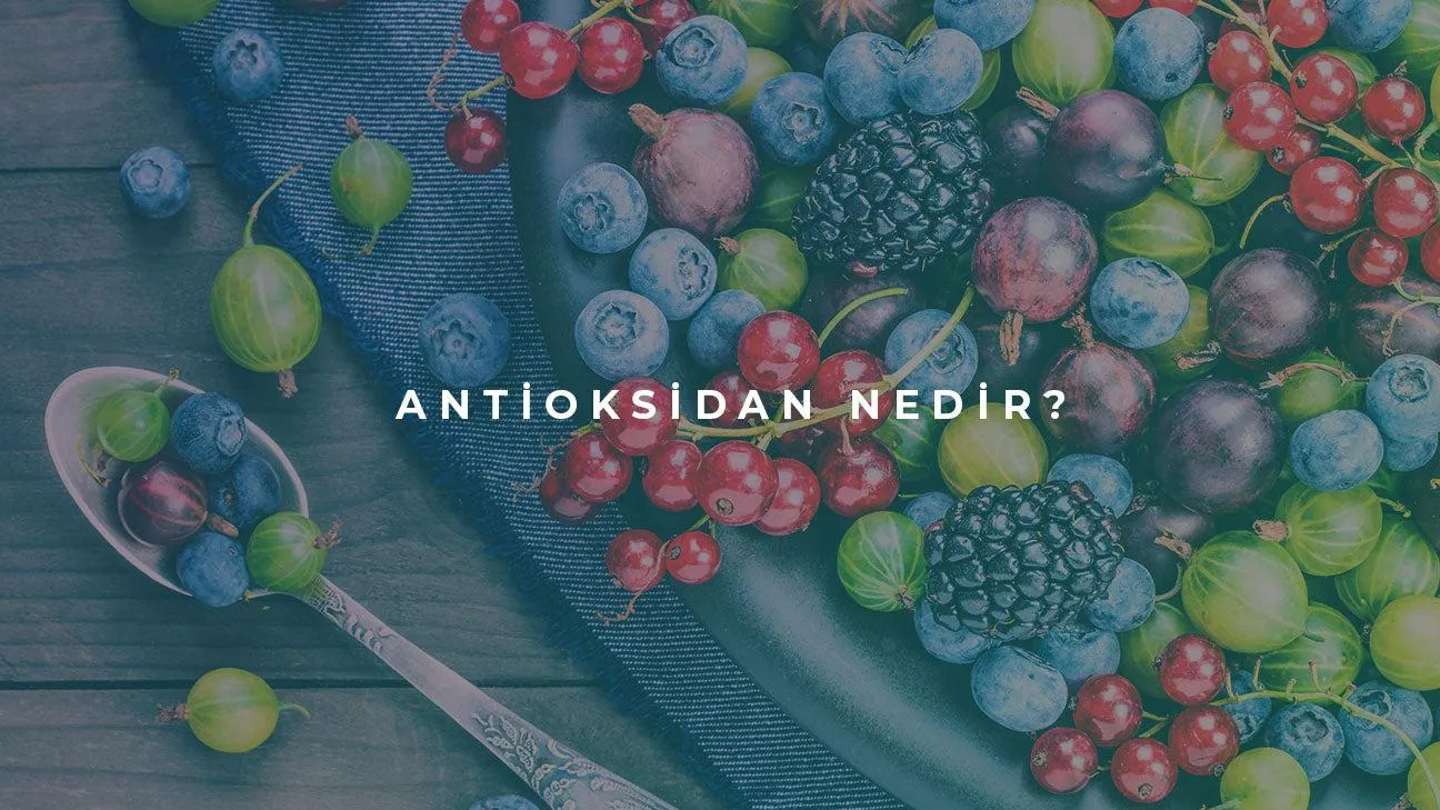 Antioksidan Nedir?