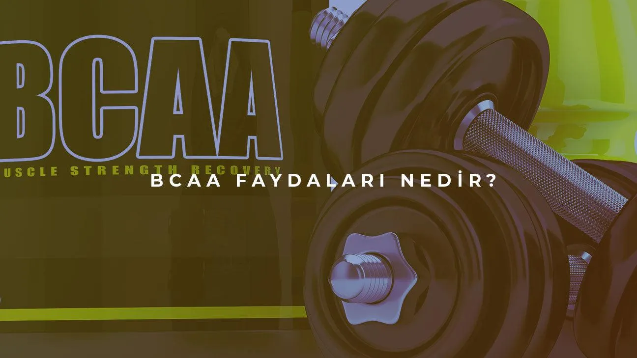 BCAA Faydaları Nelerdir? BCAA Ne İşe Yarar?