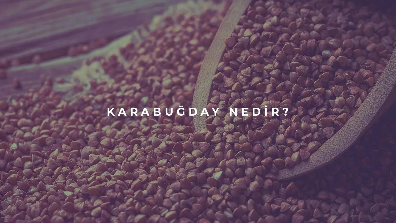 Karabuğday Nedir?