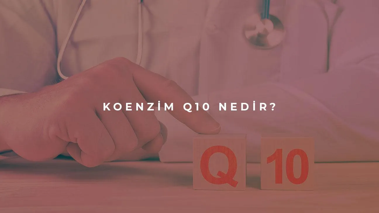 Koenzim Q 10 Nedir?