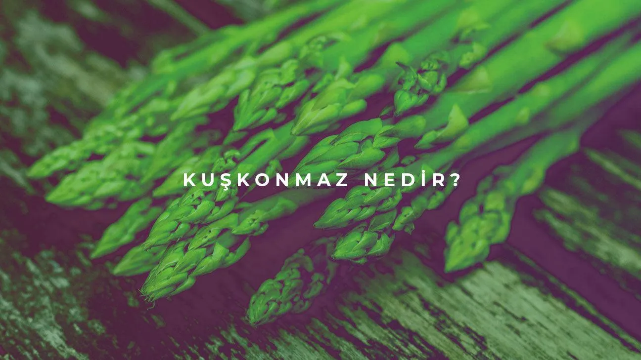 Kuşkonmaz Nedir?