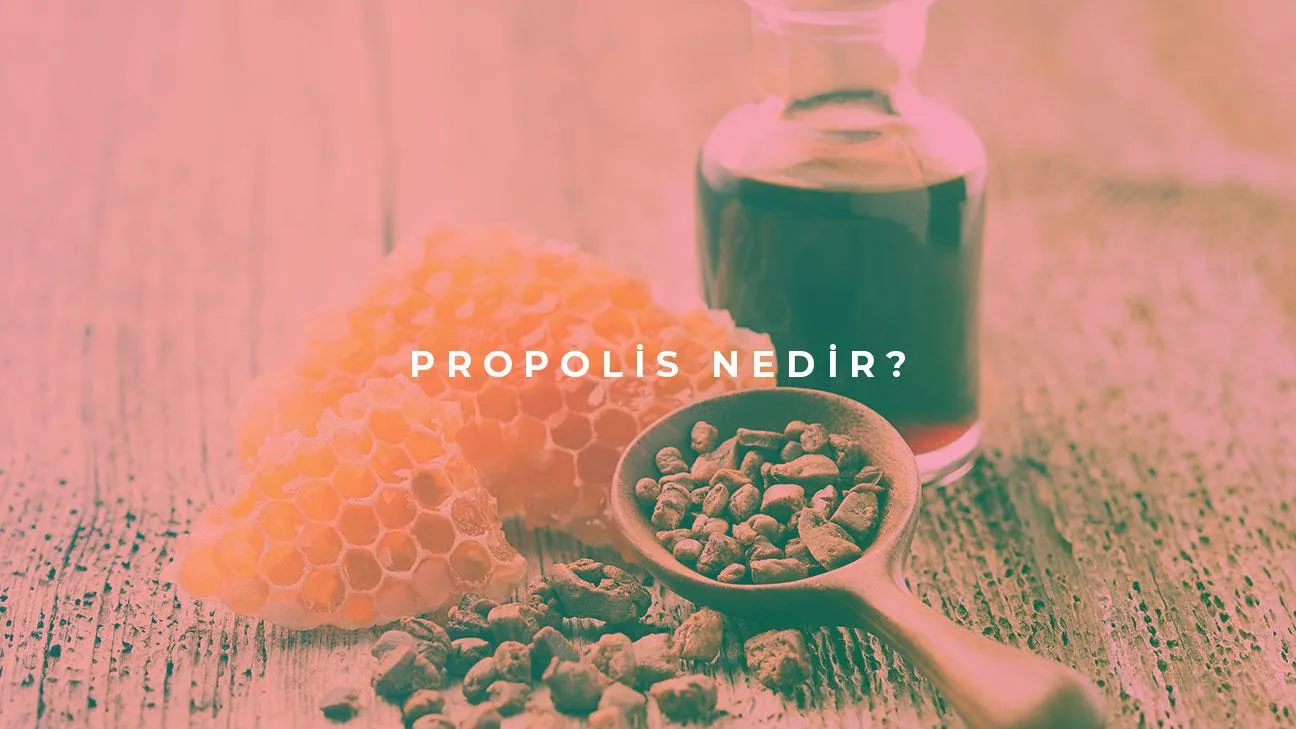 Propolis Nedir?