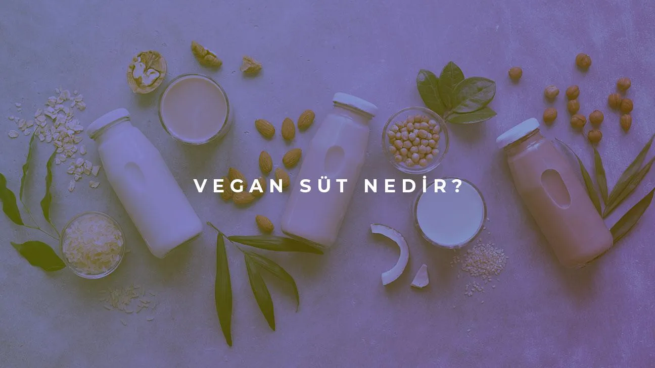 Vegan Süt Çeşitleri ve Özellikler Nelerdir?