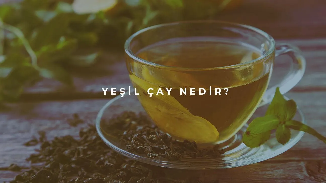 Yeşil Çay Nedir?